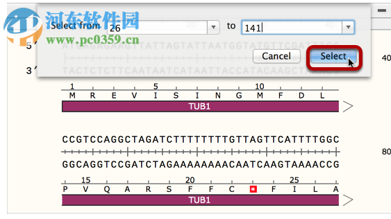 GSL Biotech SnapGene(分子生物学软件)