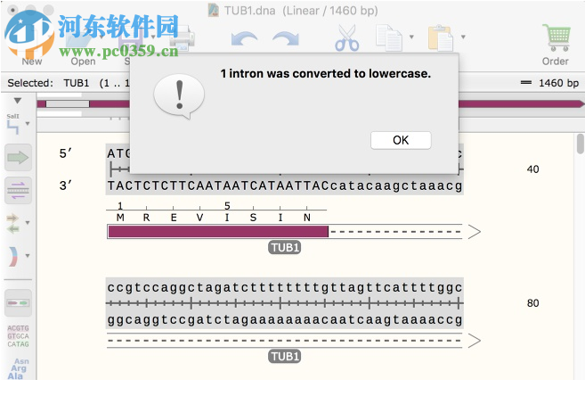 GSL Biotech SnapGene(分子生物学软件)