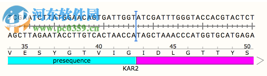 GSL Biotech SnapGene(分子生物学软件)