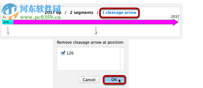 GSL Biotech SnapGene(分子生物学软件)