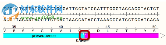 GSL Biotech SnapGene(分子生物学软件)