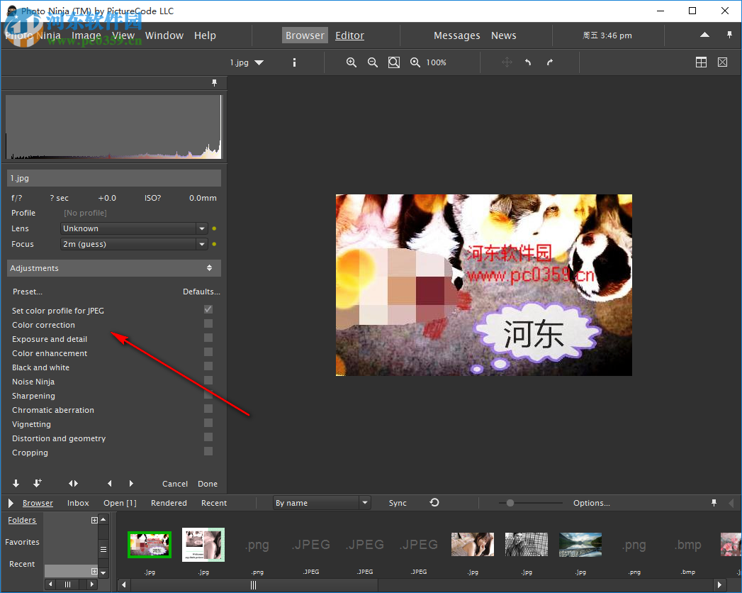 PictureCode Photo Ninja(RAW图片转换器) 1.3.8 免费版