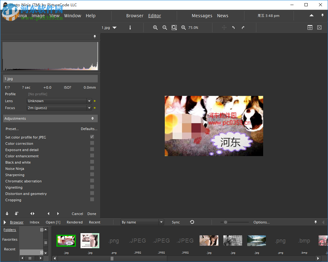 PictureCode Photo Ninja(RAW图片转换器) 1.3.8 免费版
