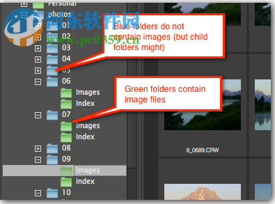 PictureCode Photo Ninja(RAW图片转换器) 1.3.8 免费版