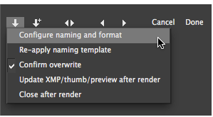 PictureCode Photo Ninja(RAW图片转换器) 1.3.8 免费版