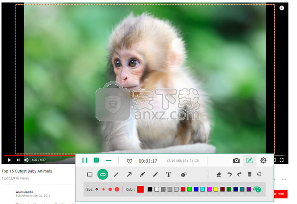 Tipard Screen Capture(屏幕录制工具)