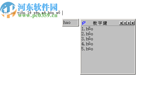 拼音声调输入法