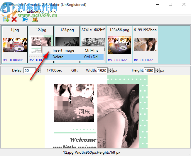 Vibosoft Animated GIF Maker(GIF制作软件)