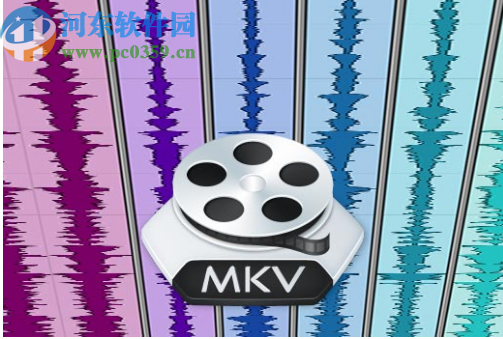 Dimo MKV Video Converter(视频格式转换软件)