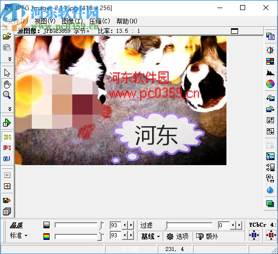 JPEG Imanger(图片压缩软件)