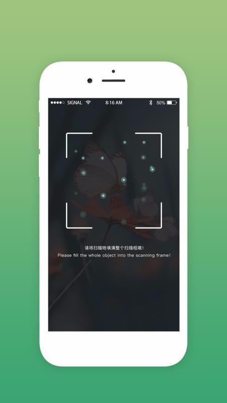 探索野生城市(1)