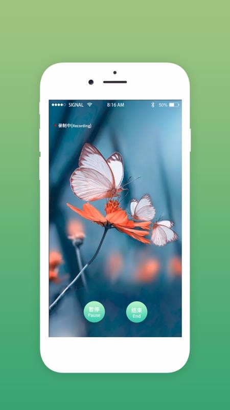 探索野生城市(3)