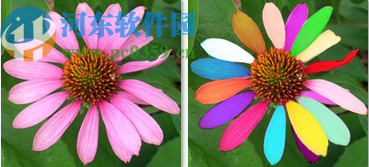 AKVIS MultiBrush(照片修正软件)