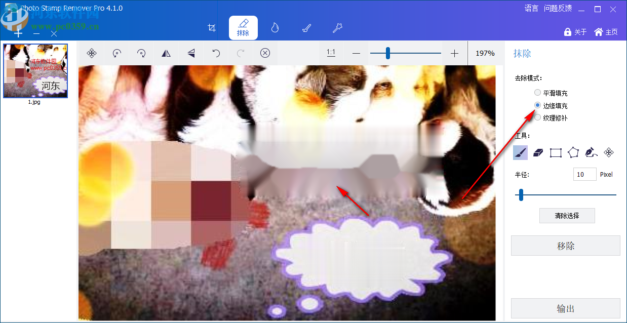 GiliSoft Photo Stamp Remover(图片水印清除工具)