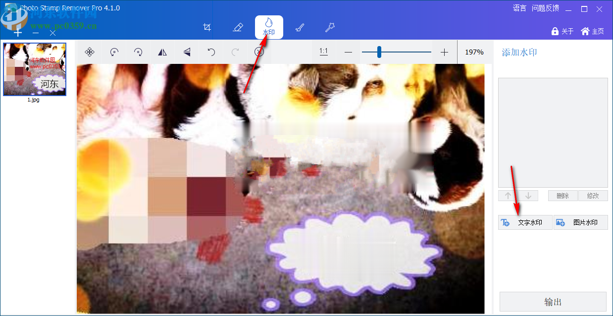 GiliSoft Photo Stamp Remover(图片水印清除工具)