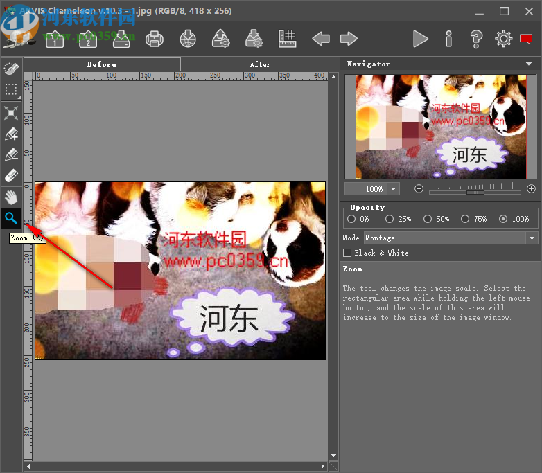 AKVIS Chameleon(照片拼接软件)