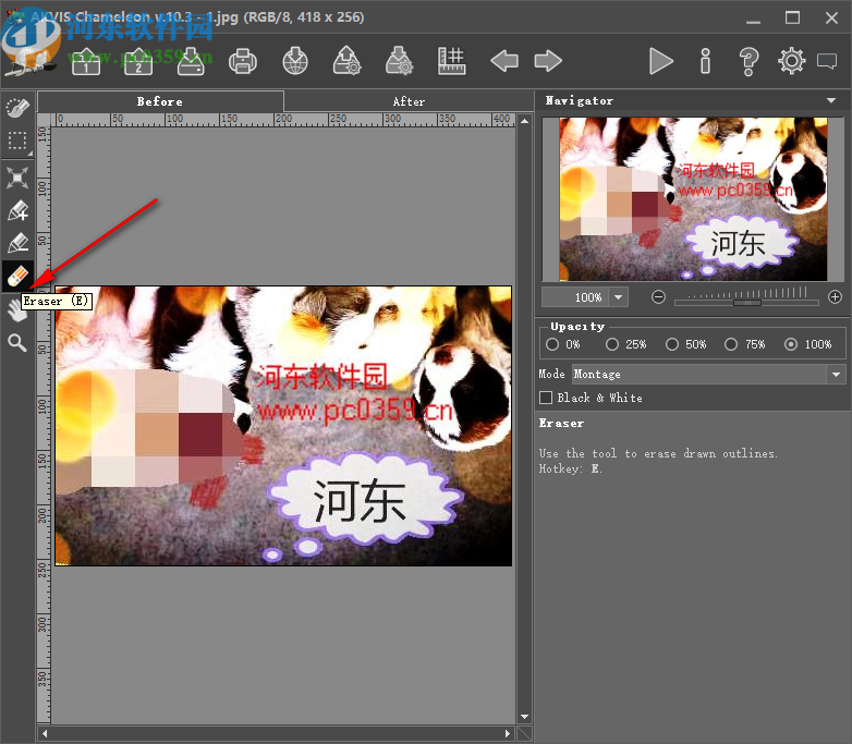 AKVIS Chameleon(照片拼接软件)