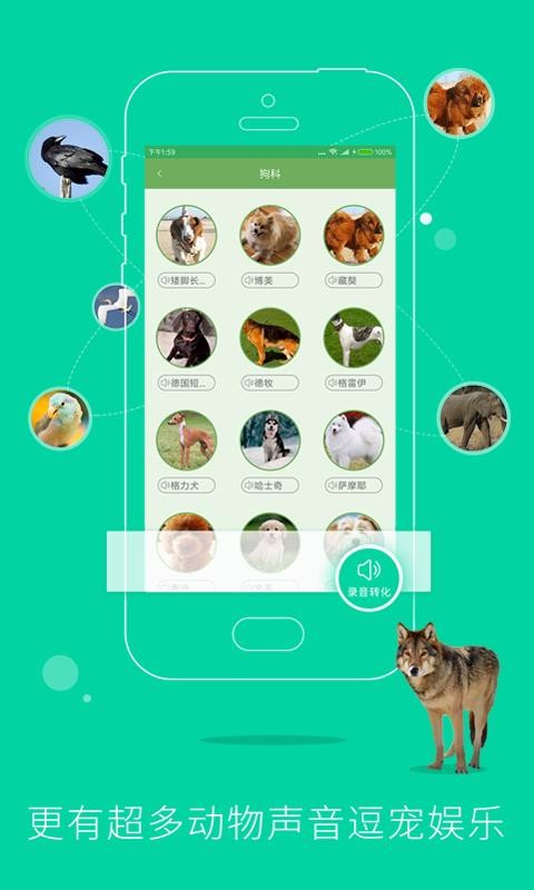 动物声音模拟器(2)