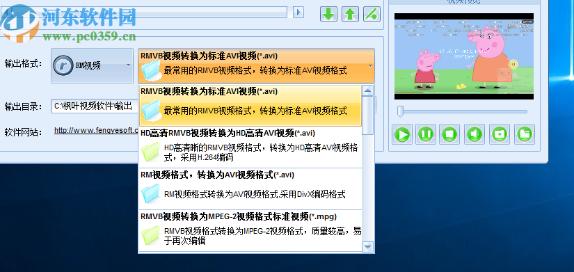 枫叶RM/MP4格式转换器