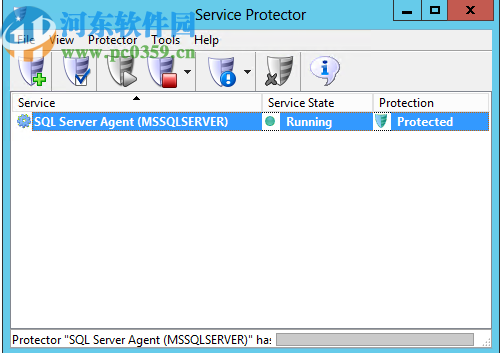 Service Protector(服务保护软件)