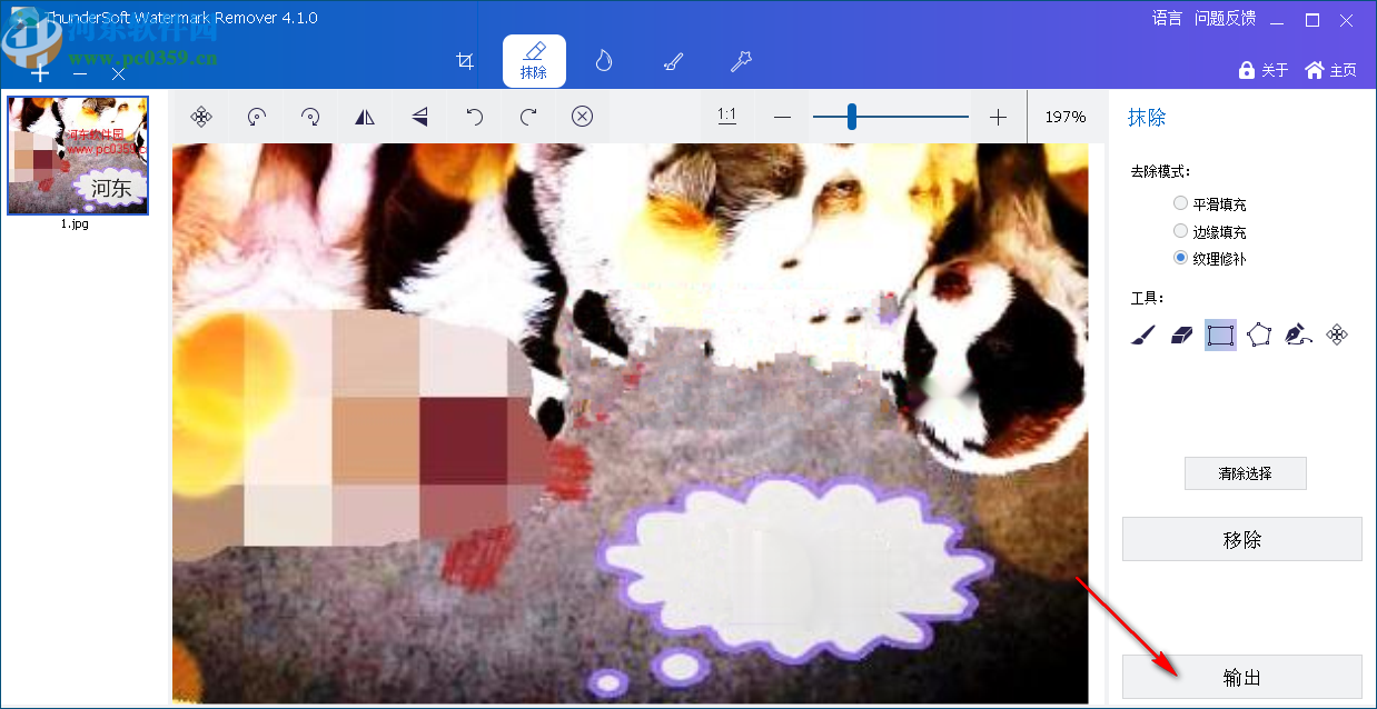 ThunderSoft Watermark Remover(图片水印删除软件)