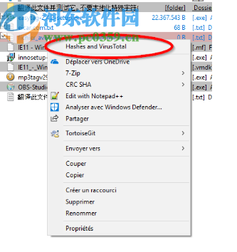 FileVoyager(文件管理软件)