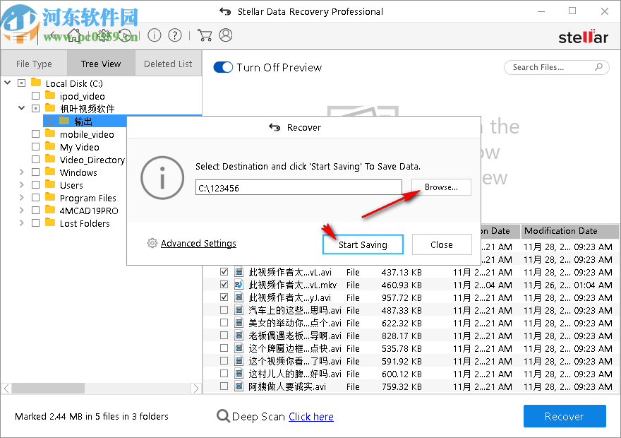 stellar data recovery(数据恢复软件)