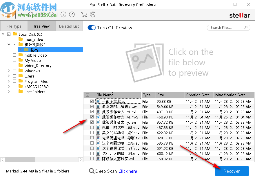 stellar data recovery(数据恢复软件)