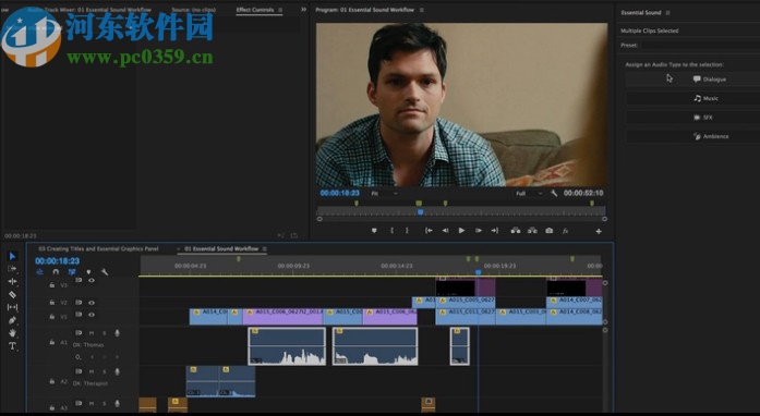 pr2020中文绿色精简版