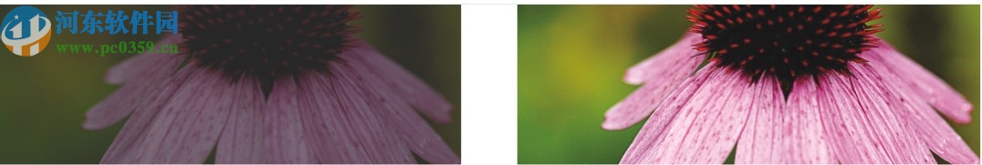 cdr2020绿色精简免安装版