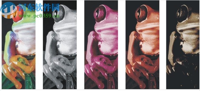 cdr2020绿色精简免安装版