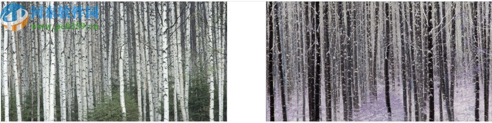 cdr2020绿色精简免安装版