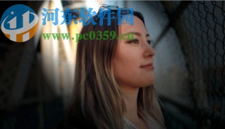 pr2020中文绿色精简版