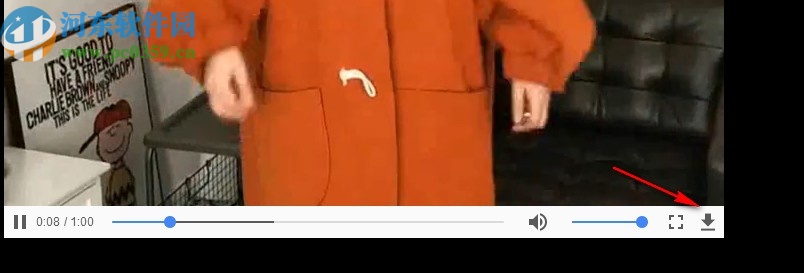 网页抓包嗅探器