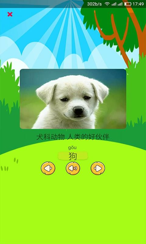 幼儿识别动物(4)