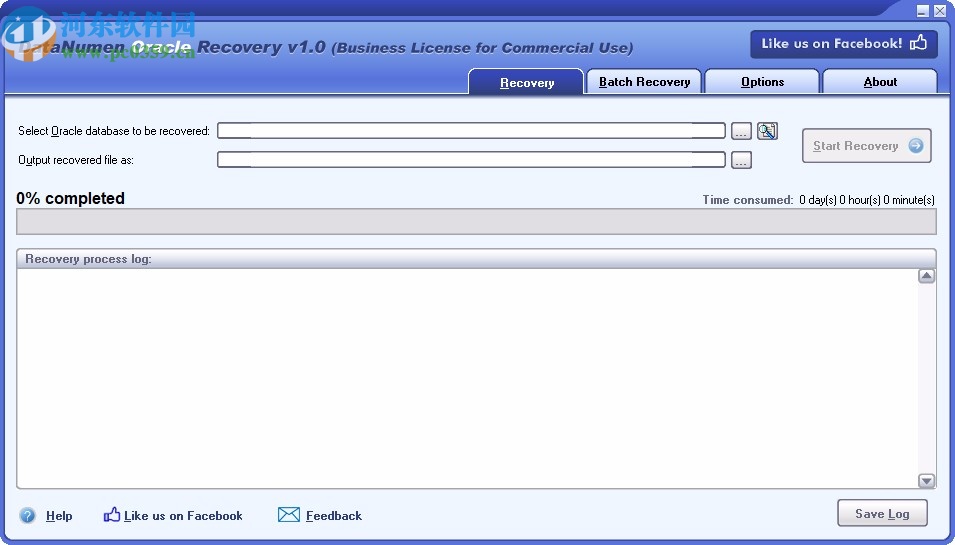 DataNumen Oracle Recovery