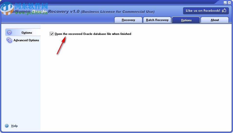 DataNumen Oracle Recovery