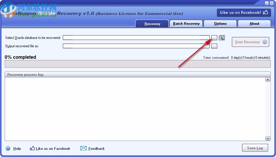 DataNumen Oracle Recovery