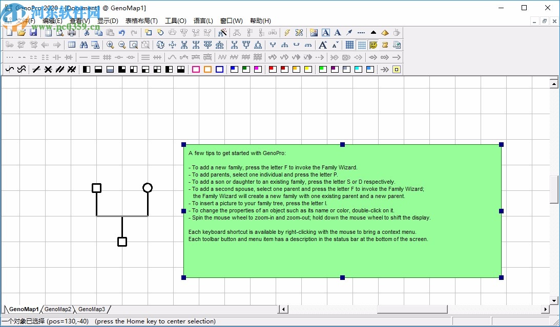 GenoPro(家谱族谱制作软件)