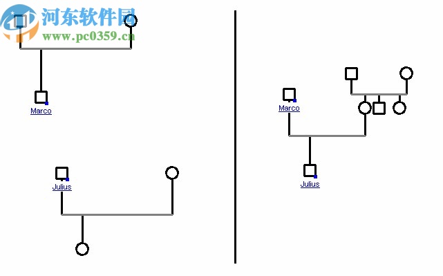GenoPro(家谱族谱制作软件)