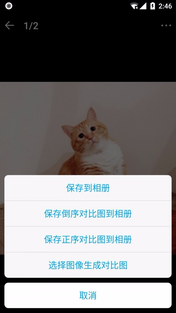 猫咪记账本(3)