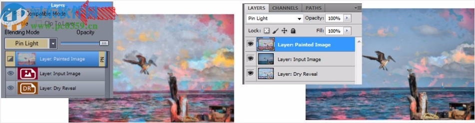 Dynamic Auto Painte Pro