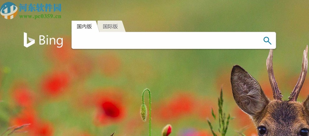 Bing Wallpaper(必应壁纸工具)