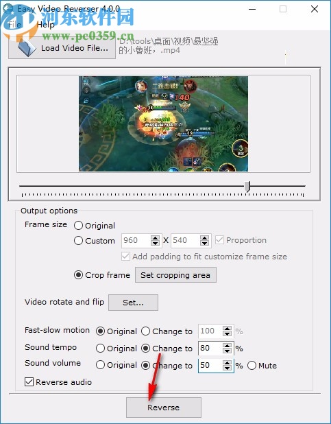 Easy Video Reverser下载