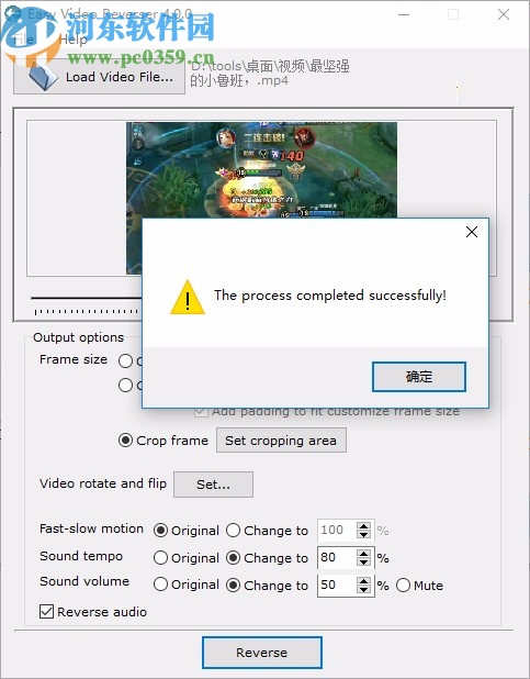 Easy Video Reverser下载