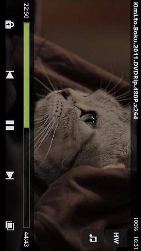 MX 播放器编解码器（ARMv7 NEON）(2)