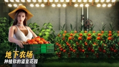 七号堡垒秘密(5)