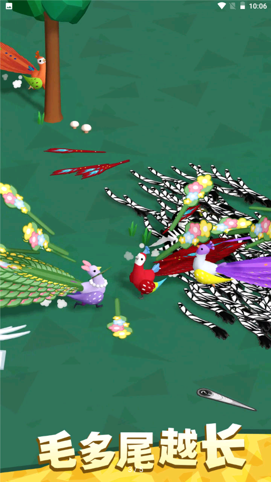 孔雀拔毛大赛(2)