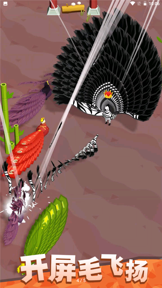 孔雀拔毛大赛(3)