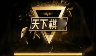 天下棋牌95至尊安卓版(1)